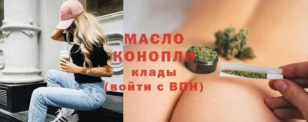 прущие грибы Медвежьегорск