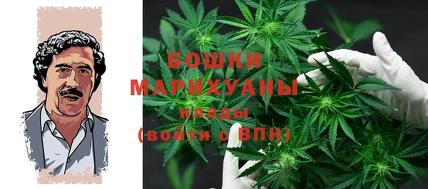 PSILOCYBIN Армянск